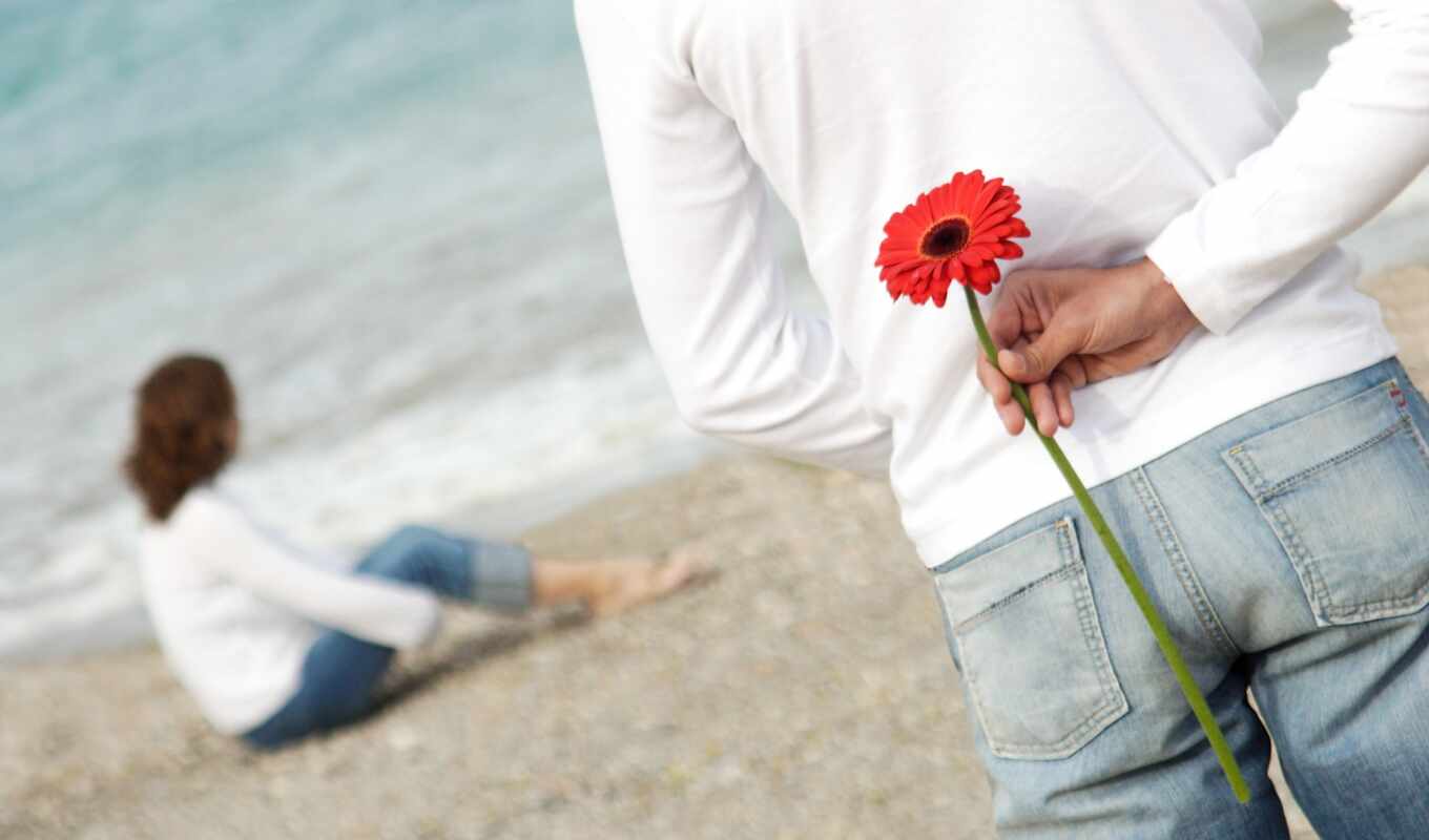цветы, love, романтика, пляж, высоком, счастье, любви, vapor, pair