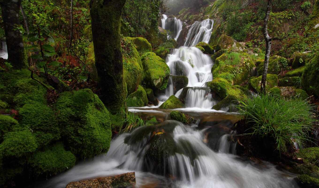 screen, nature, waterfall