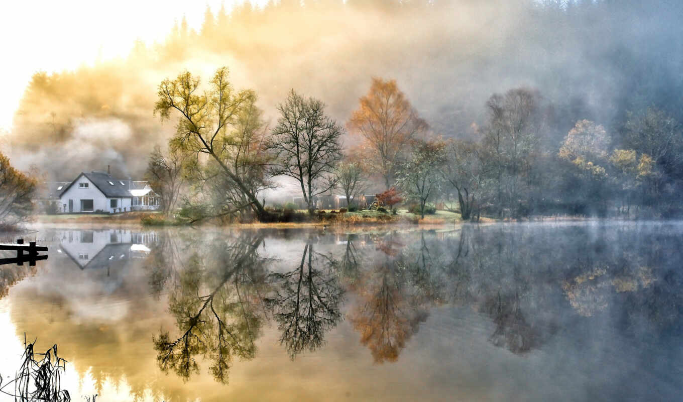 lake, nature, collection, landscape, trees, fog