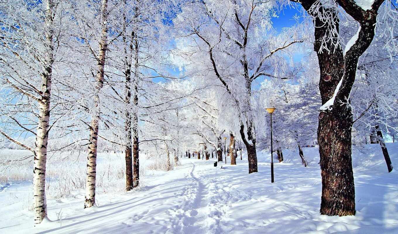 winter, day, nezhivoi, funart