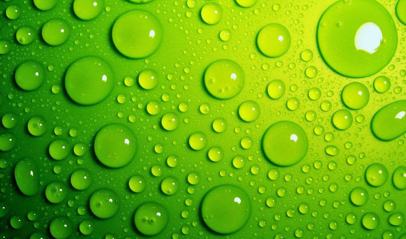 sheet, drops, macro, green, water, dew, waters
