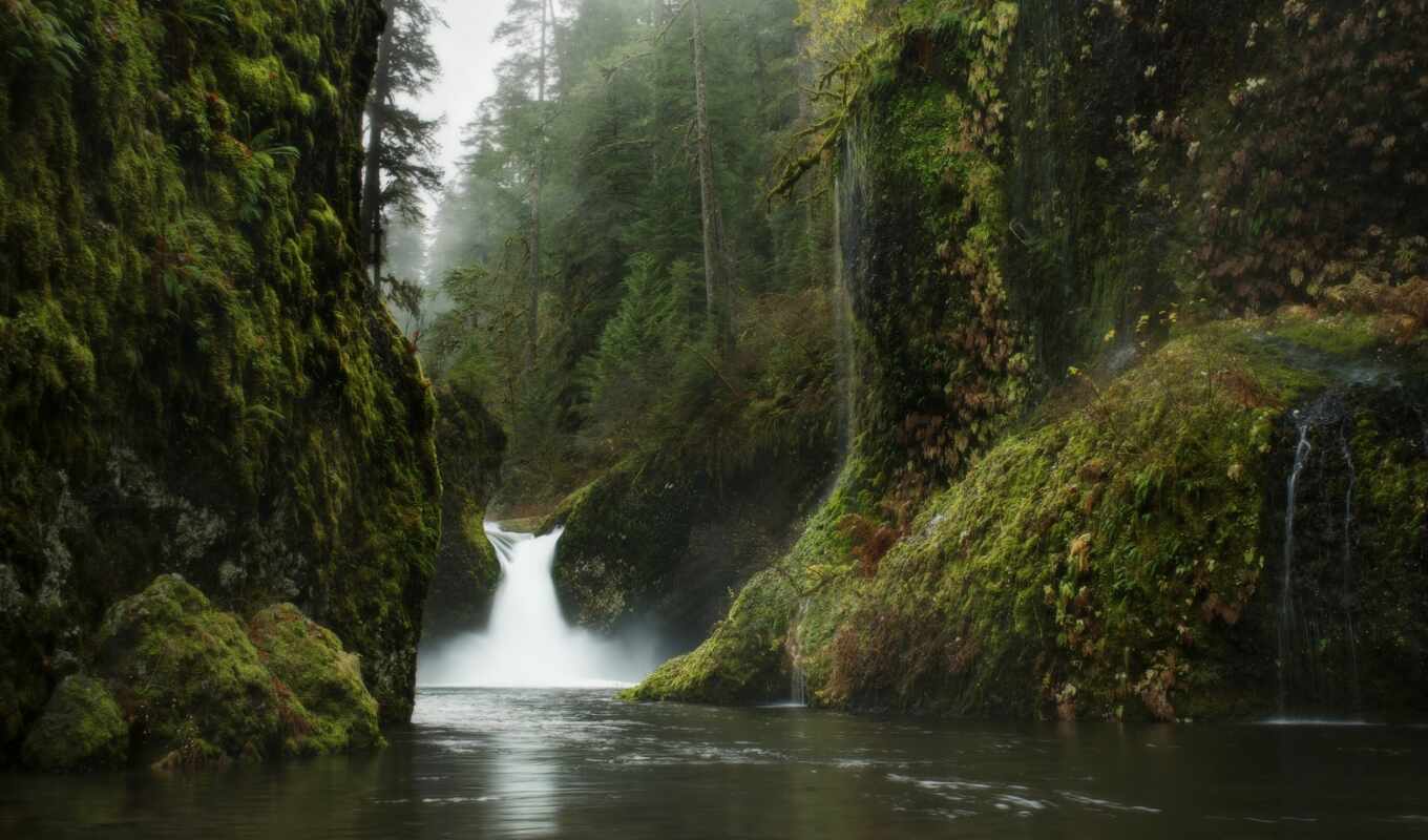 nature, home, river, waterfall