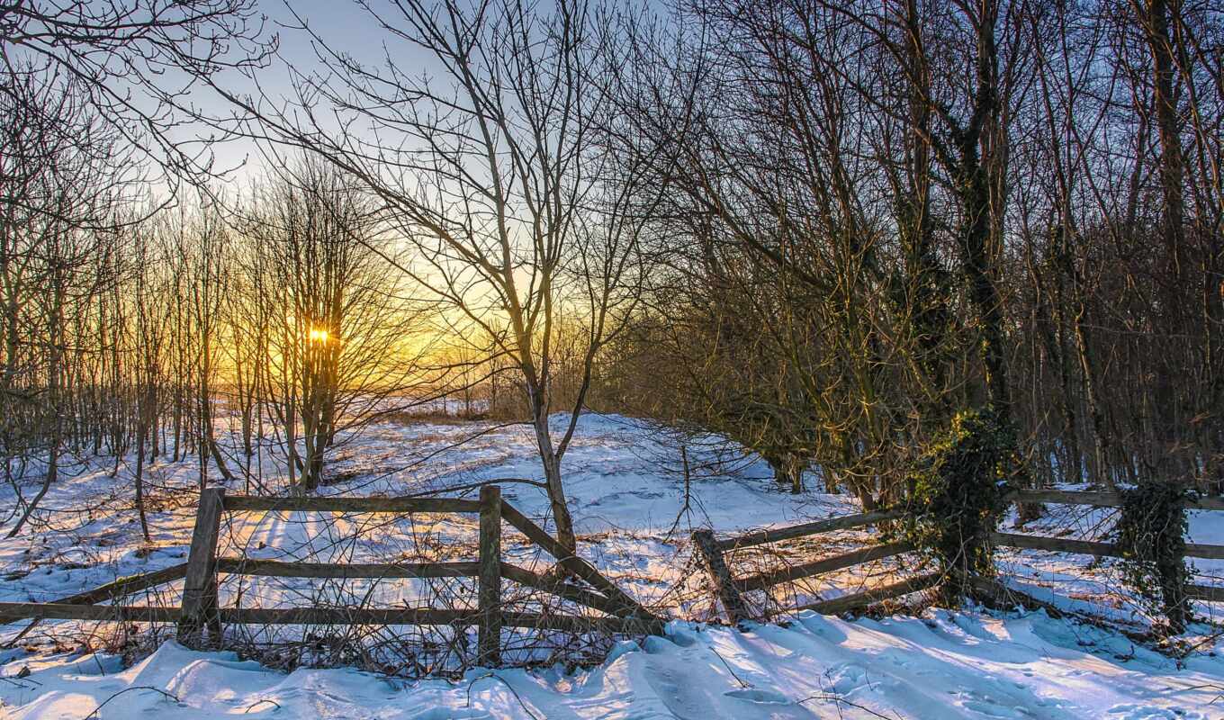 sun, закат, снег, winter, landscape, pinterest, trees, забор