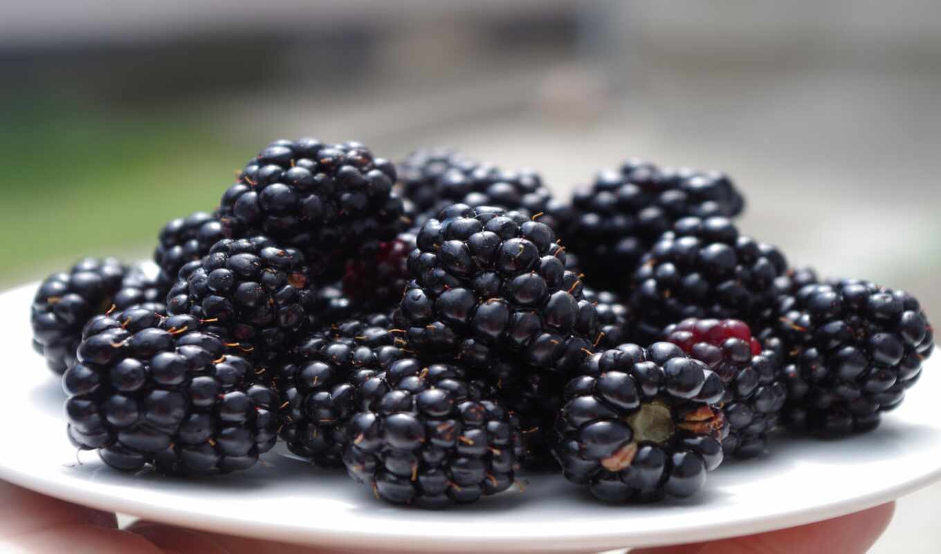 есть, когда, январь, который, пасмурный, спелый, blackberry, блюдо, ягода, организм