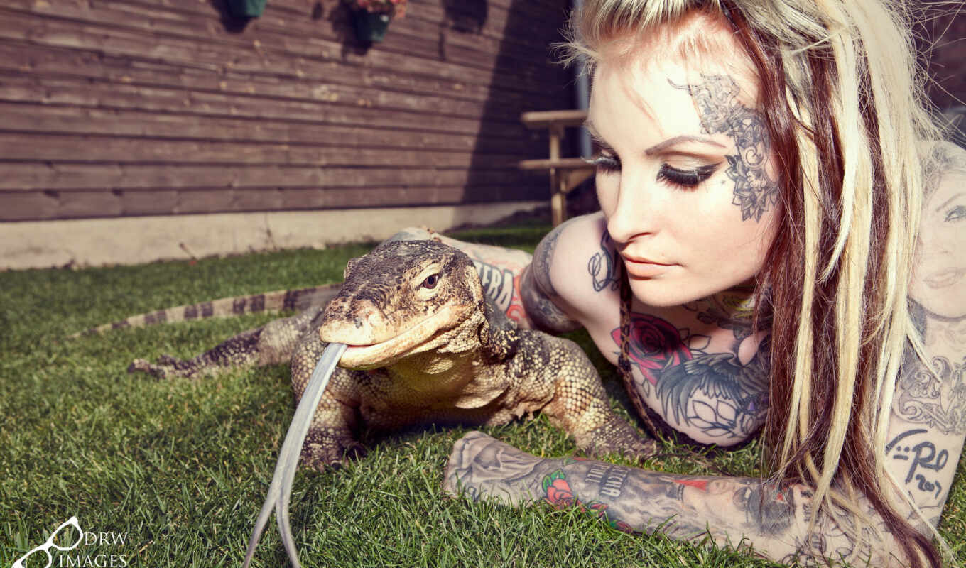 девушка, женщина, татуировка, animal, reptile