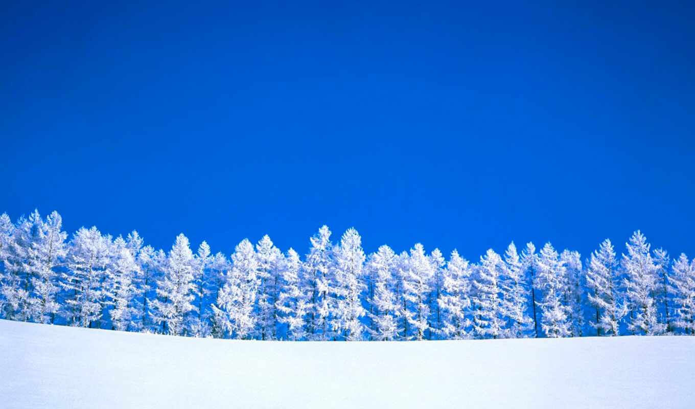 desktop, iphone, snow, winter, landscape, winter, fir