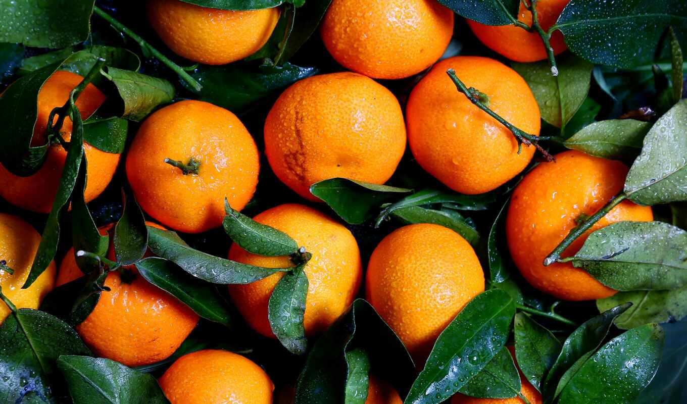 плод, tangerine, produktov i
