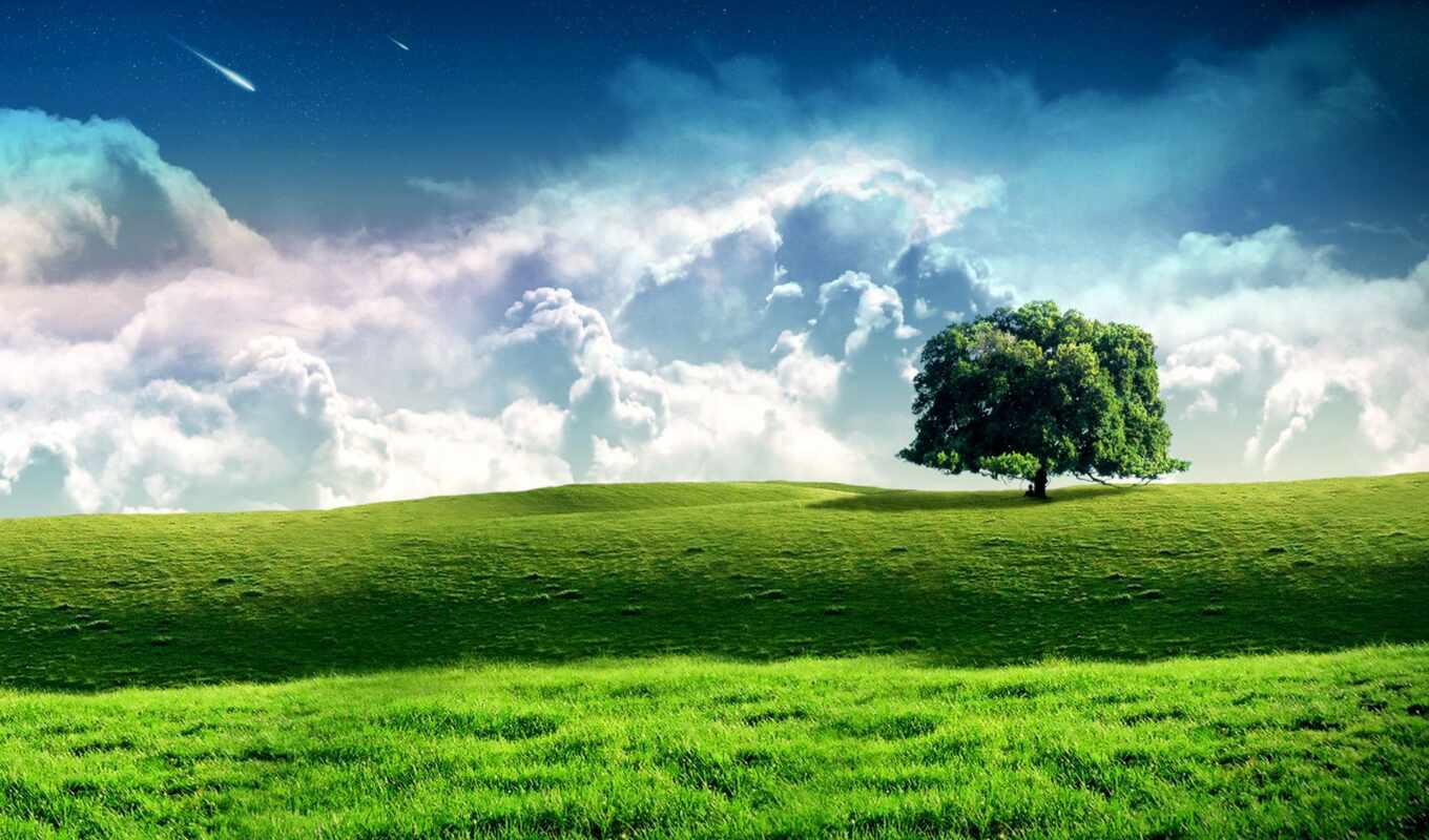 небо, дерево, зелёный, трава, поле, landscape, photography, луг, oblaka