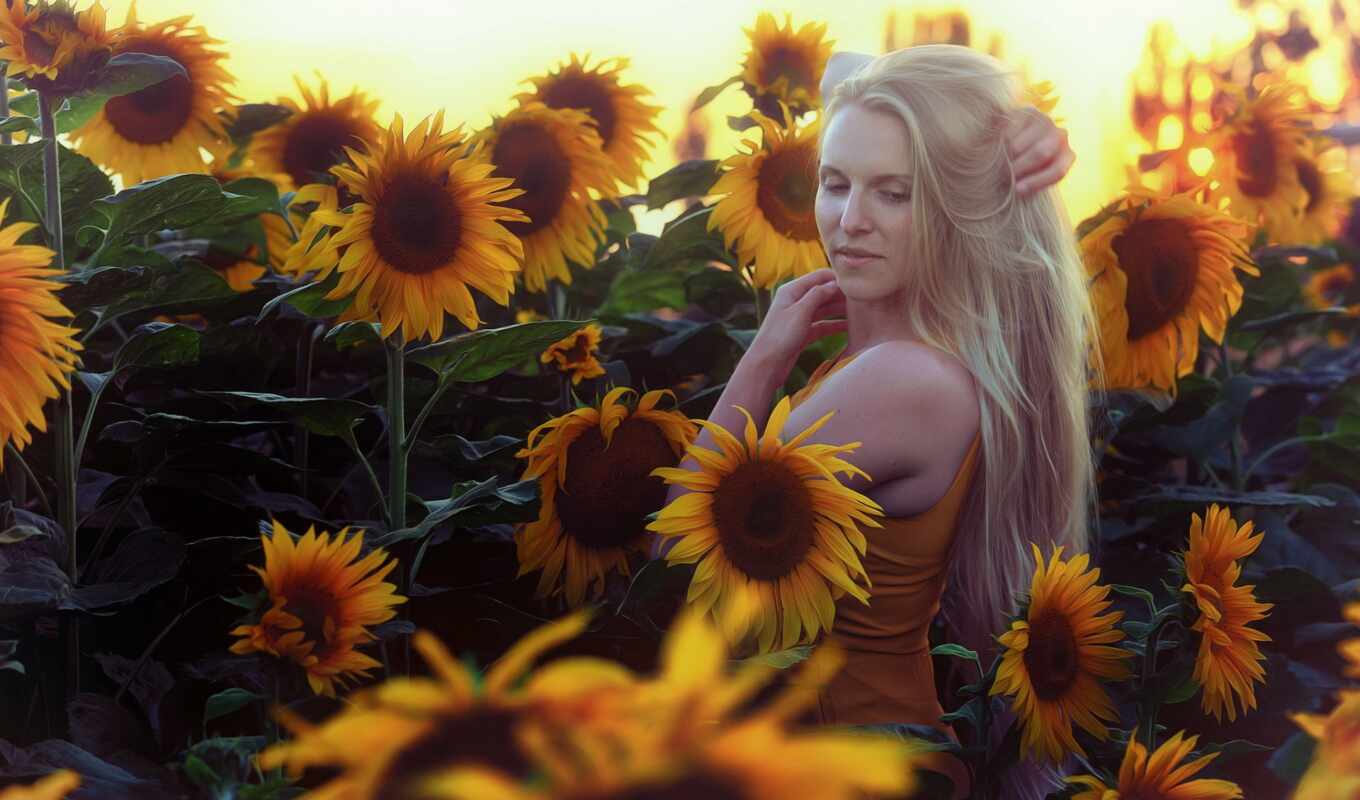 desktop, girl, summer, sunflowers, sunflowers, sunny, martha, devushki