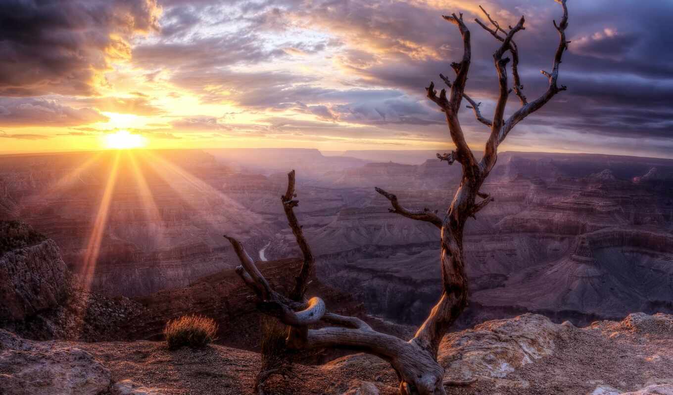 nature, sky, tree, sunset, landscape, sol, of, canyon, cuando, expanding horizons