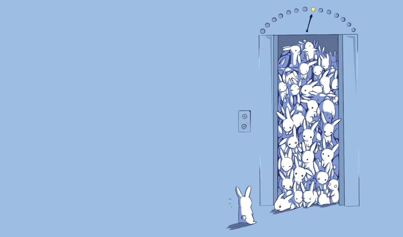 many, drawing, foreigners, rabbits, minimalistic, elevator, bunny, rabbits, surprise, elevators