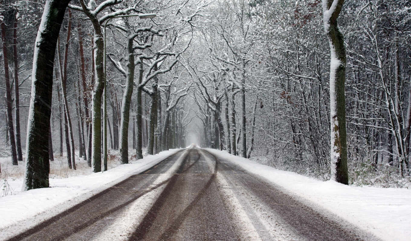 дорога, снег, snowy, winter, tracks, trees, stock, vectors, free, 