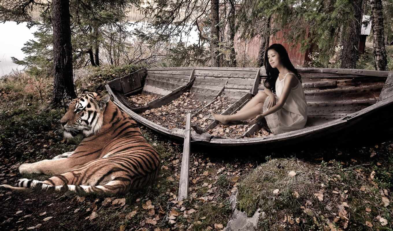 девушка, тигр, лук, tomb, лодка