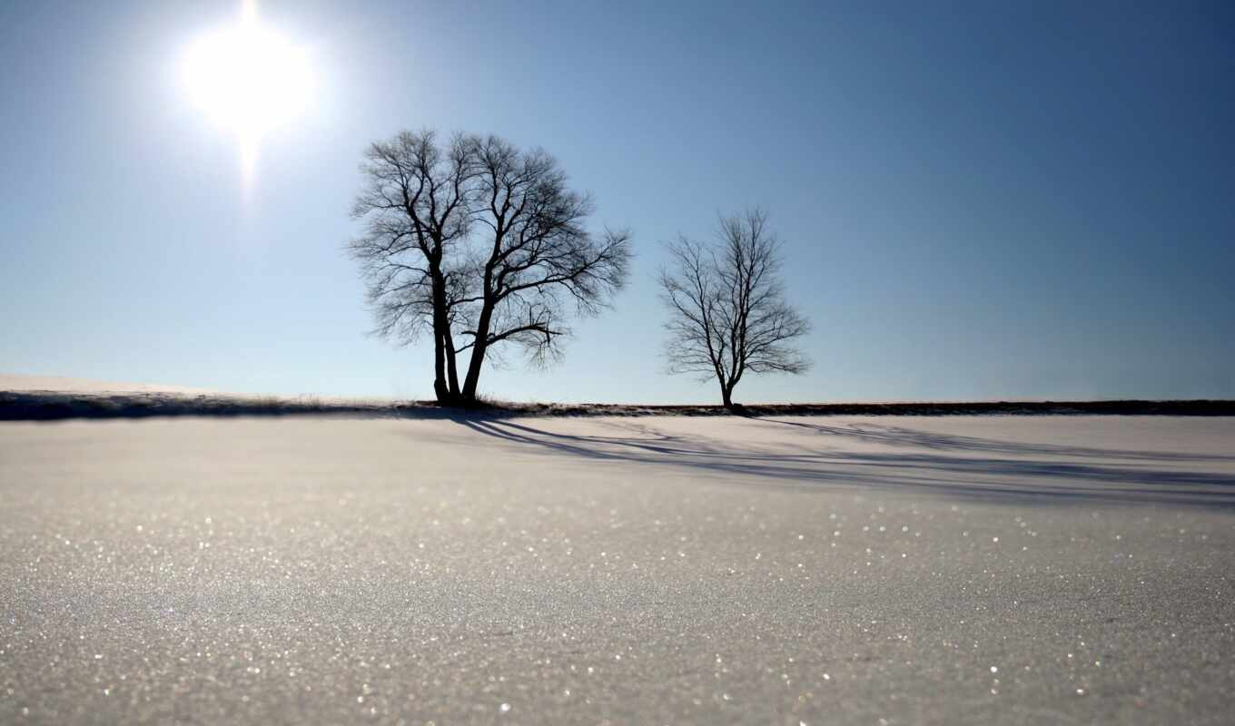 nature, free, snow, winter, big, beautiful, shirokoformatnyi