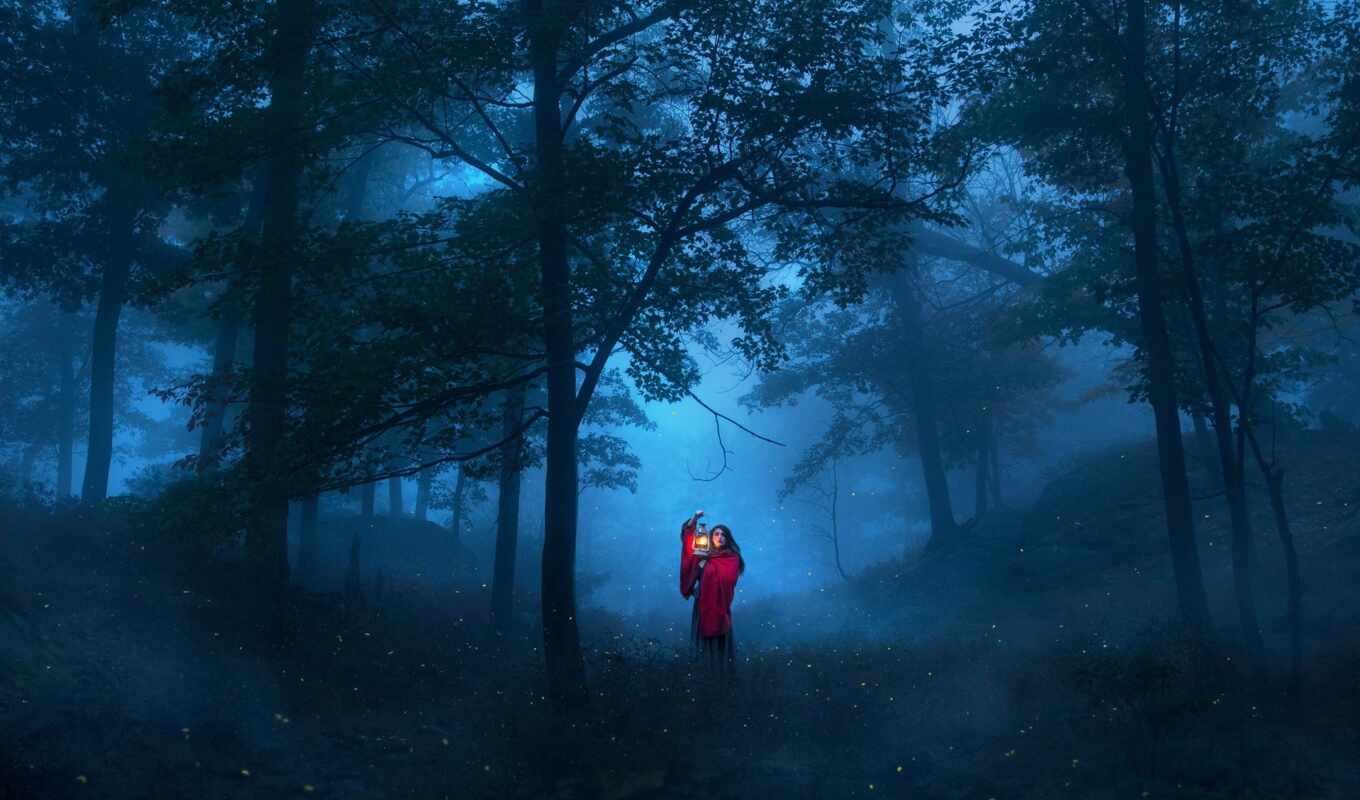 girl, red, tree, night, hood, lantern, fore, peakpxpage