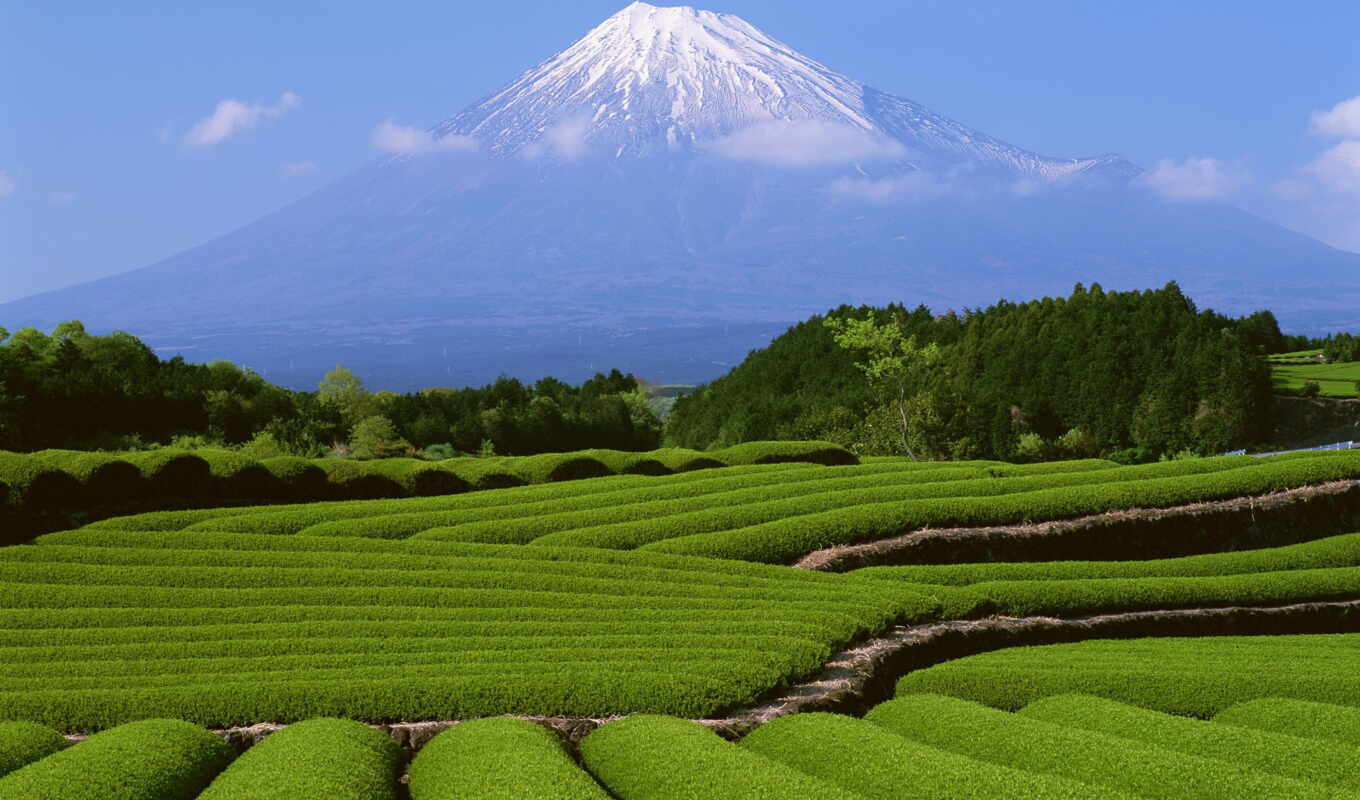 green, mountain, world, mountains, japan, Japan, mount, diary, fuji, mountains