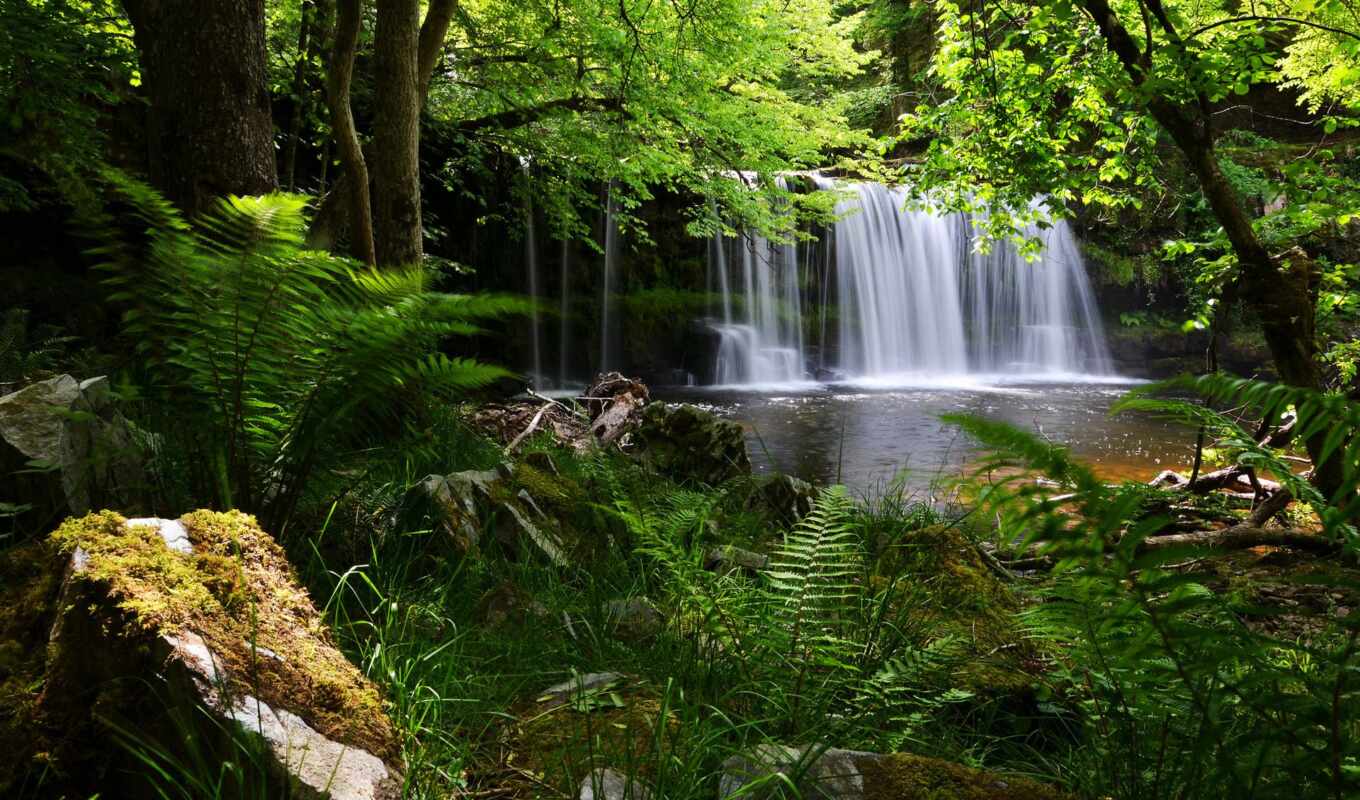 forest, England, park, waterfall, national, fern, lights, brecon, bicones