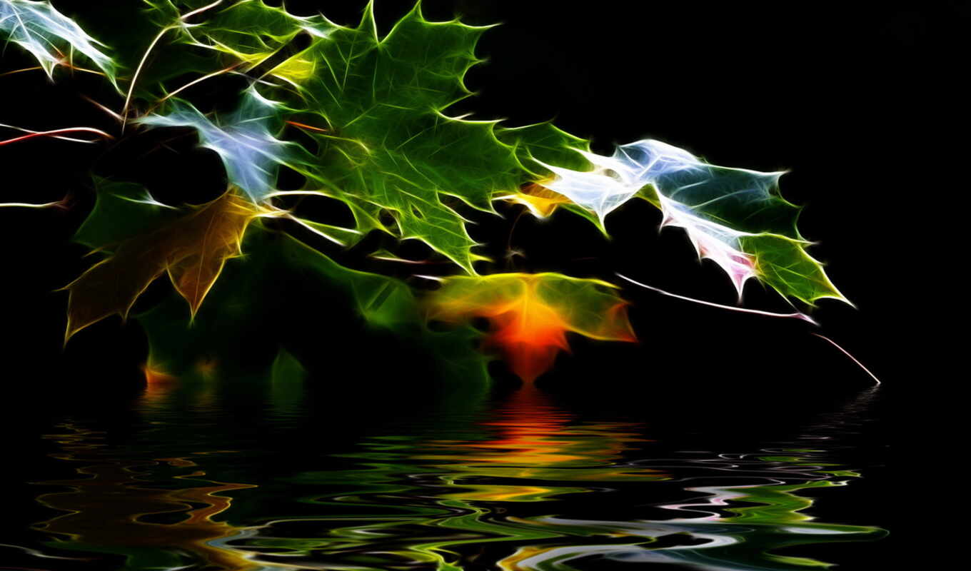 background, abstract, post, cartoon, reflection, fractal, leaf, powerpoint, study