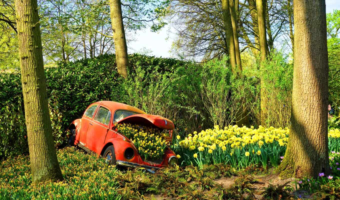 flowers, many, space, garden, plant, for Volkswagen, into, parking space, post-humanism