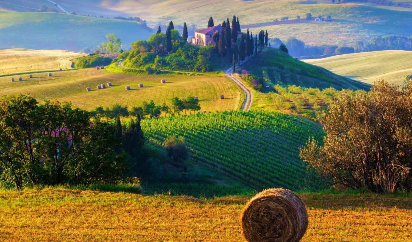 field, landscape, dog, hay, stack, tuscany