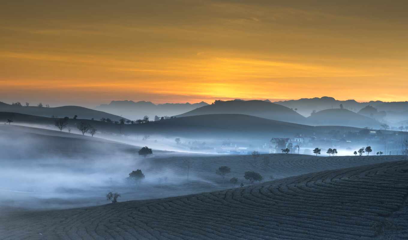 sunrise, field, landscape, morning, tea, vietnam