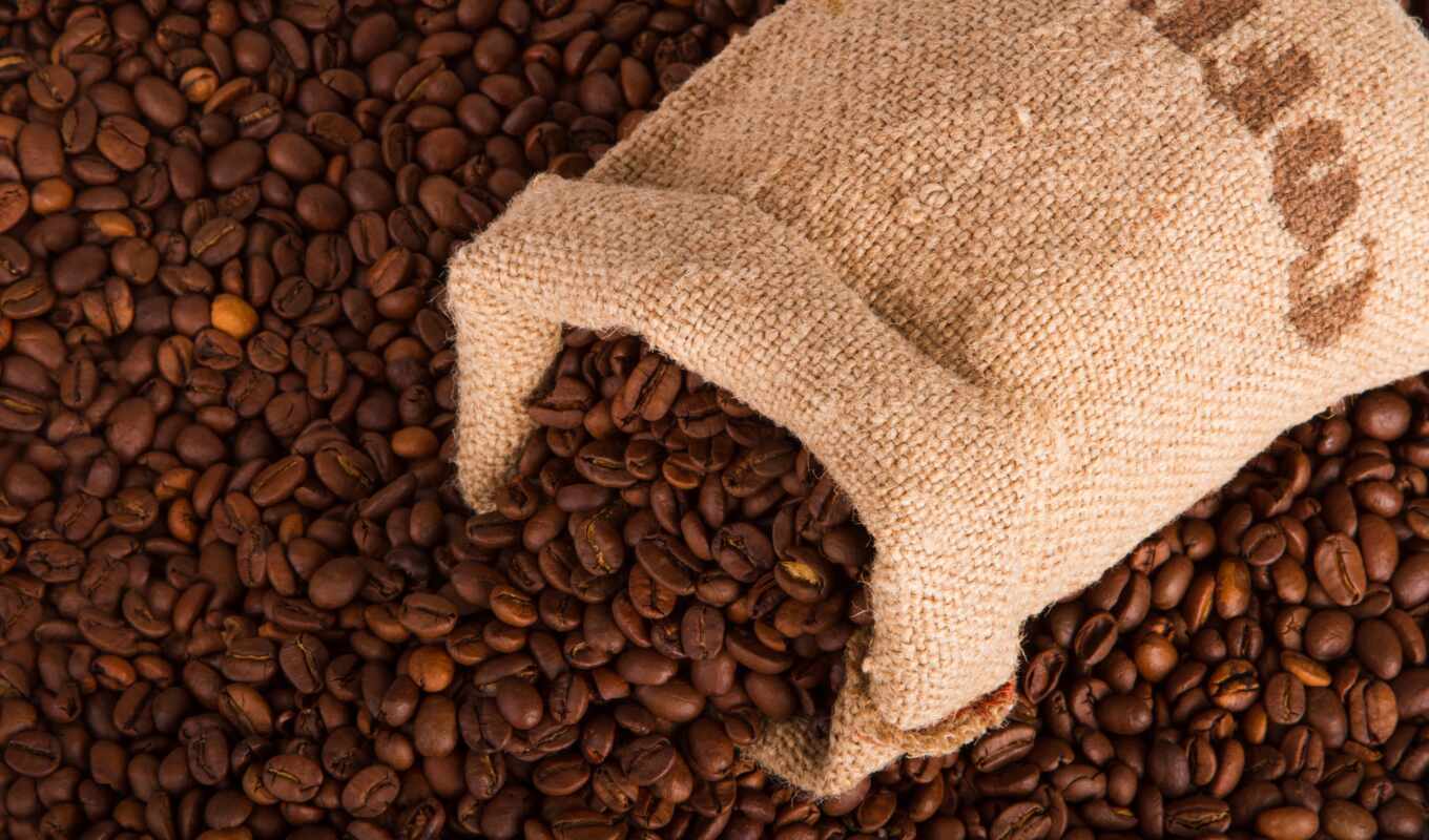 coffee, зерно, день, seed, product, many, bean, meal, nutrition