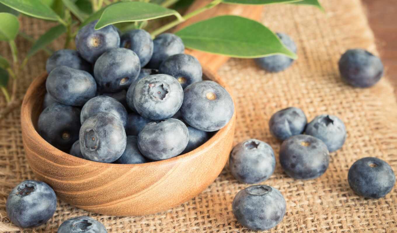 call, shop, Internet, fast, seed, delivery, blueberries, becker, seedlings, otzyv