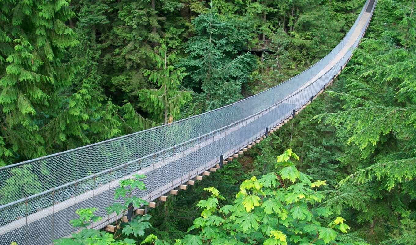 мост, самых, канада, является, подвеска, достопримечател, выдающихся, капилано, ванкувера, capilano