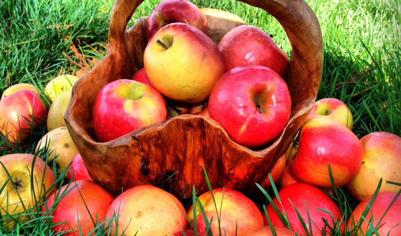 фото, еда, summer, картинка, red, трава, плод, корзина, яблоки, сочный