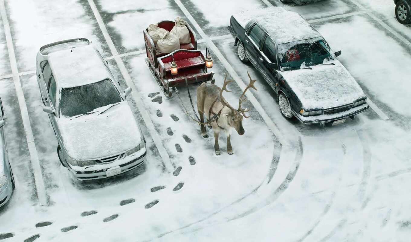 compilation, picture, street, photos, year, new, gags, christmas, winter, footprints, cars, soon, humor, parking space, sonya, gifts, prank, deer, bags