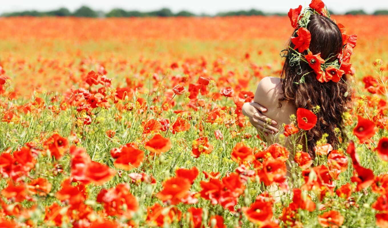 girl, field, poppies