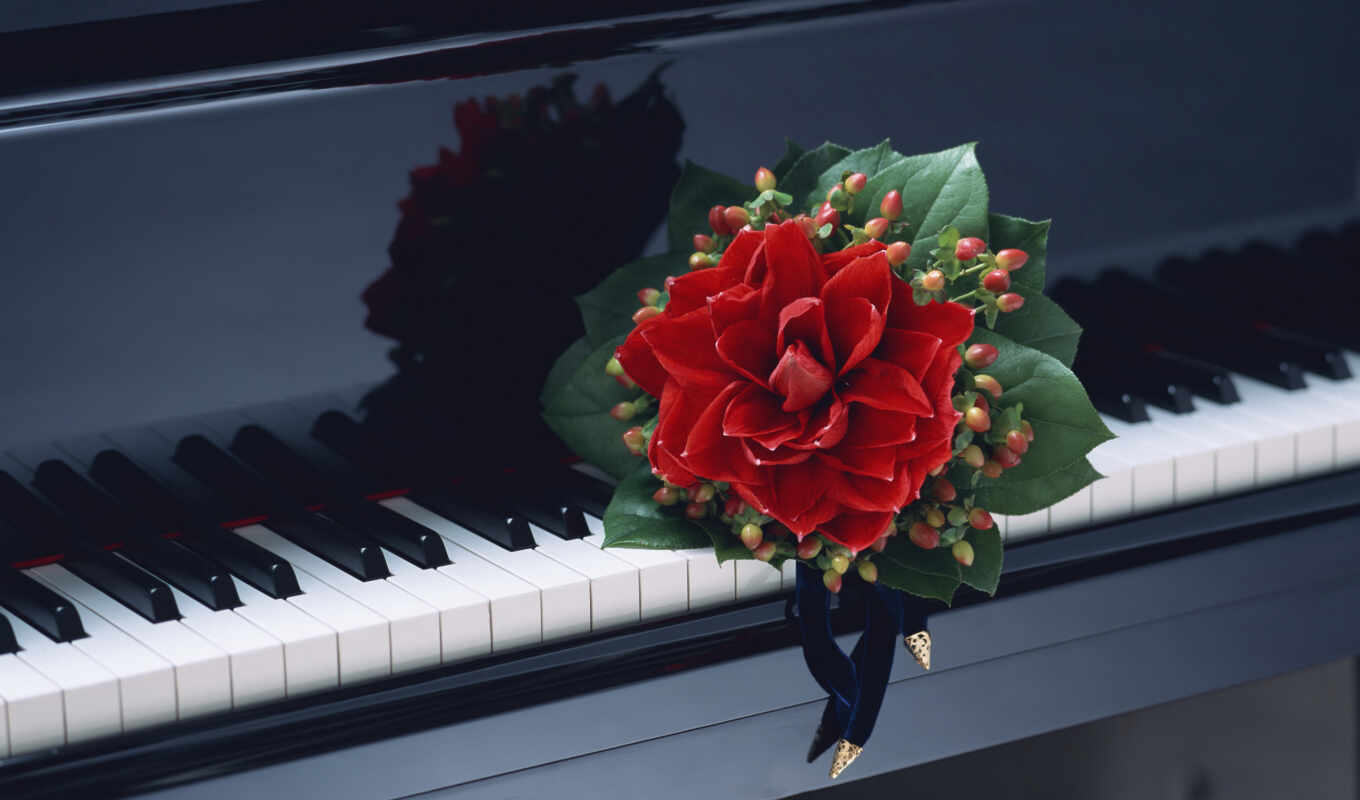flowers, music, eye, birth, two, bouquet, key, piano, a drop, dnee
