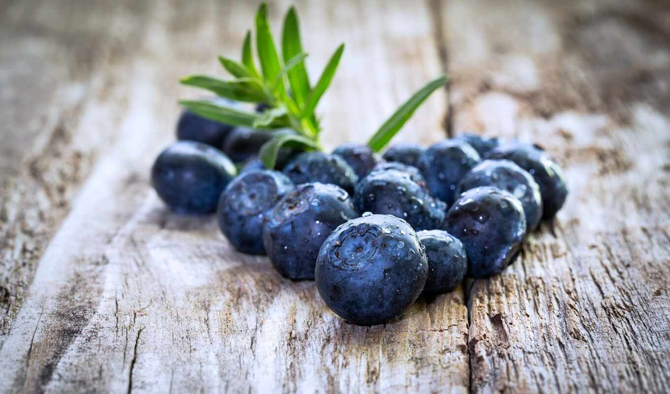 meal, fresh, daily, berries, blueberries, berries