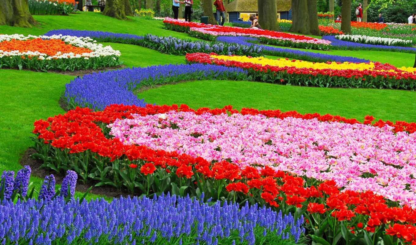 цветы, garden, весна, растение, цветение, park, тюльпан, festival, парад, botanical, никитский
