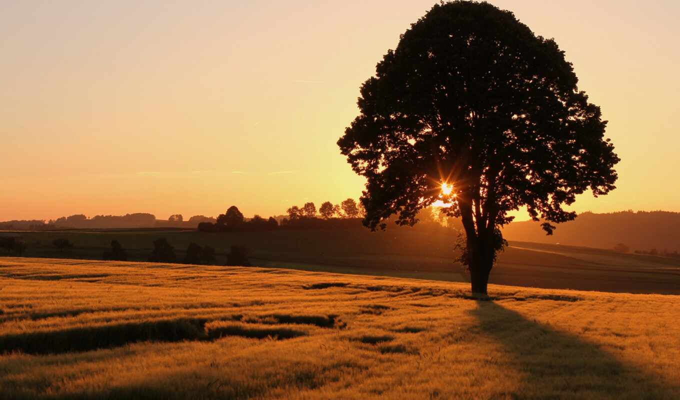 природа, sun, свет, закат, поле, landscape, утро, natural, солнечный, permission, kartinkioboi