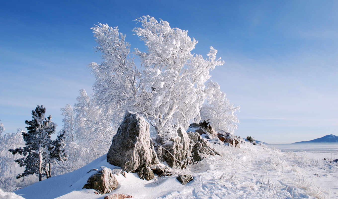 photo, snow, winter, field, snow, trees, stones, js