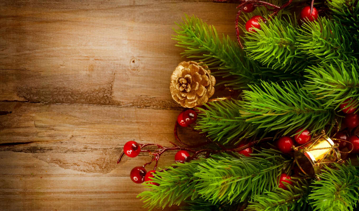 new, год, christmas, branch, праздники, новогодняя, ёль, ветки, шишки, елка