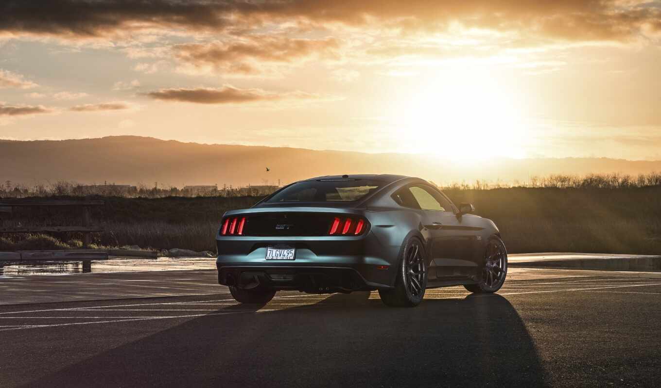 source, auto, car, see, from behind, ford, mustang, wheel, velgen