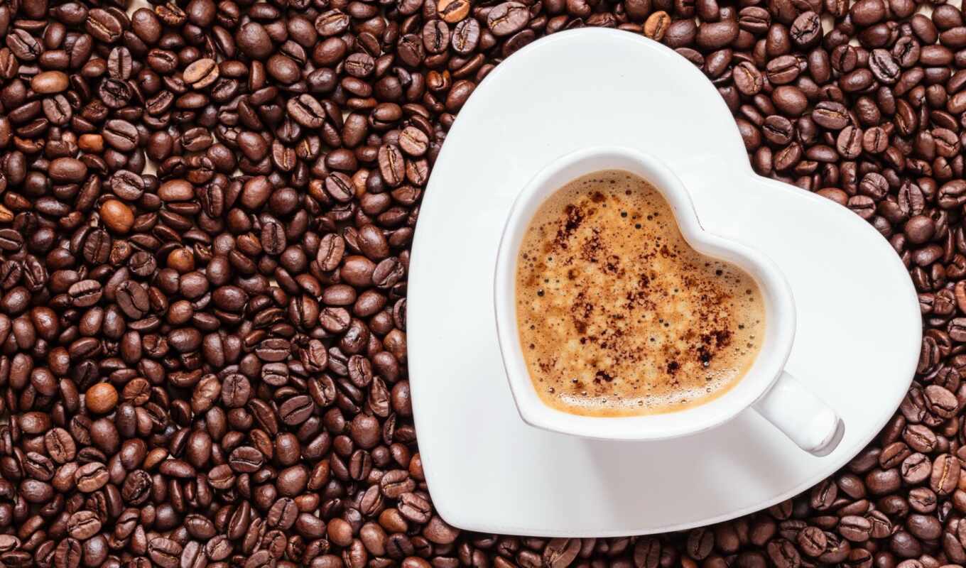 coffee, heart, seed