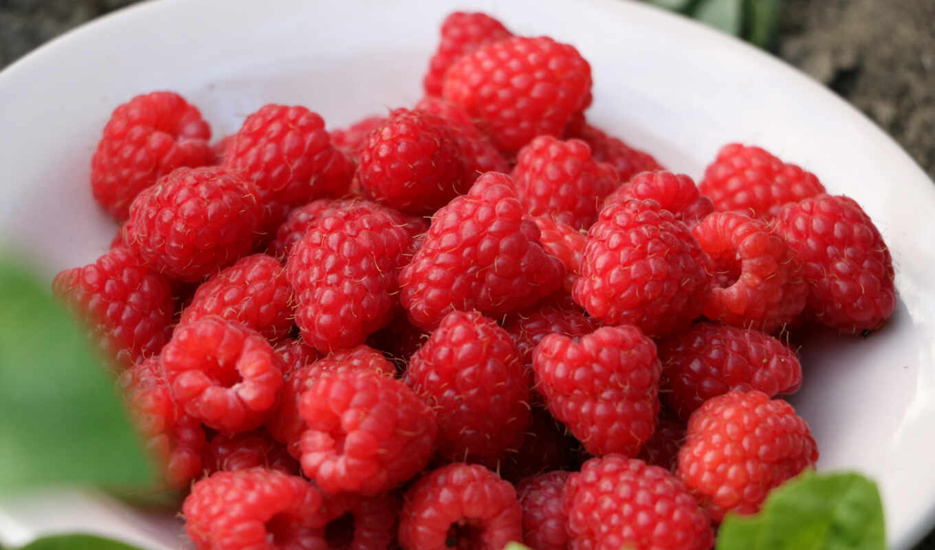 raspberry, ripe, tablet, berry