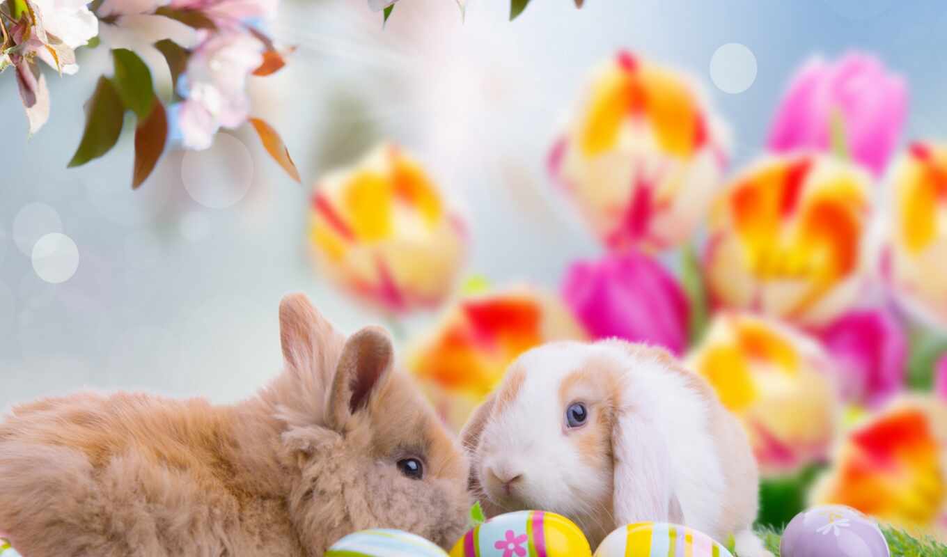 iphone, clipart, easter, eggs, backgrounds, east
