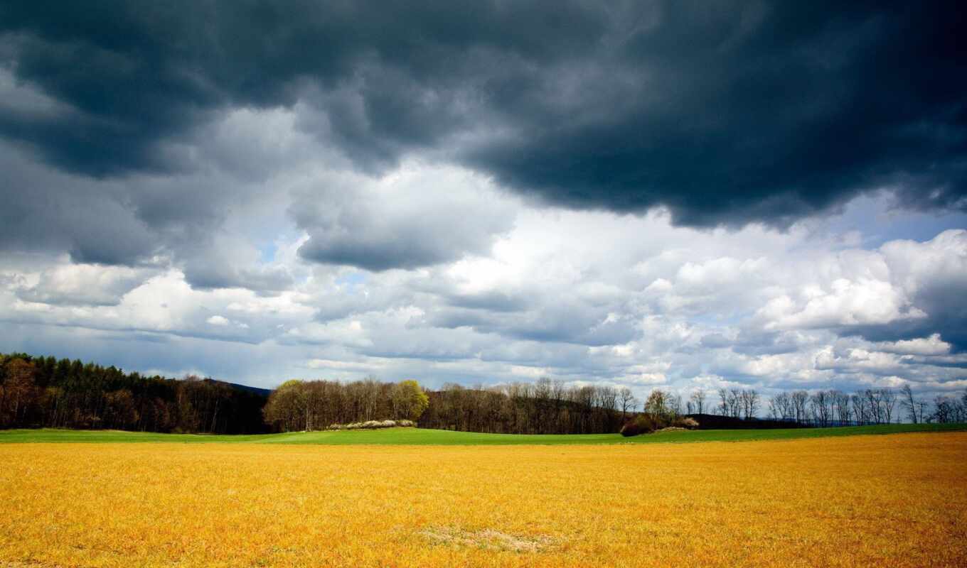 sky, summer, field, august, yellow, grey, cloud, chmuro, clouds, pests, wrapped