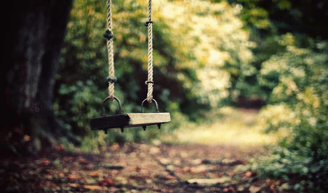 forest, swing