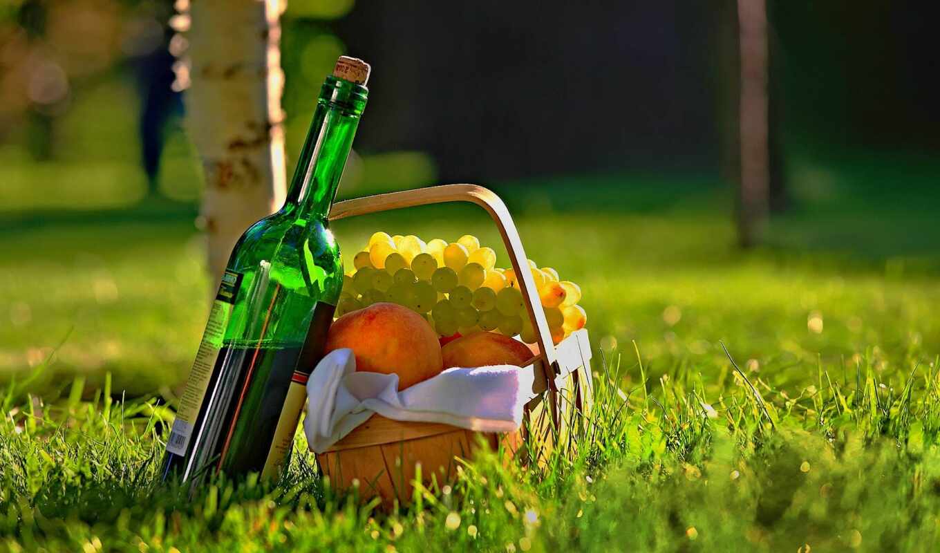 wine, peach, fetus, picture, basket, alcohol, bottle, meal, picnic, cesta