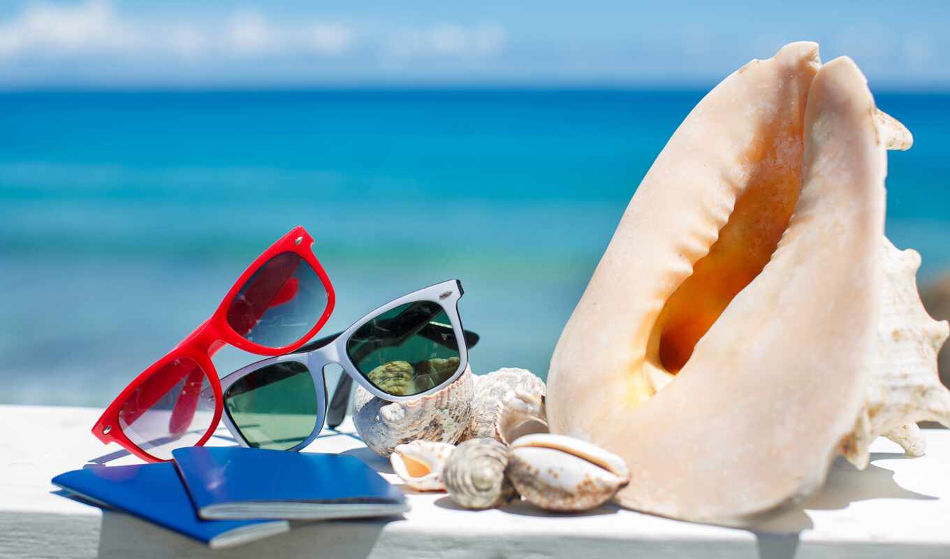 beach, sea, glasses, the sun, passport, shells