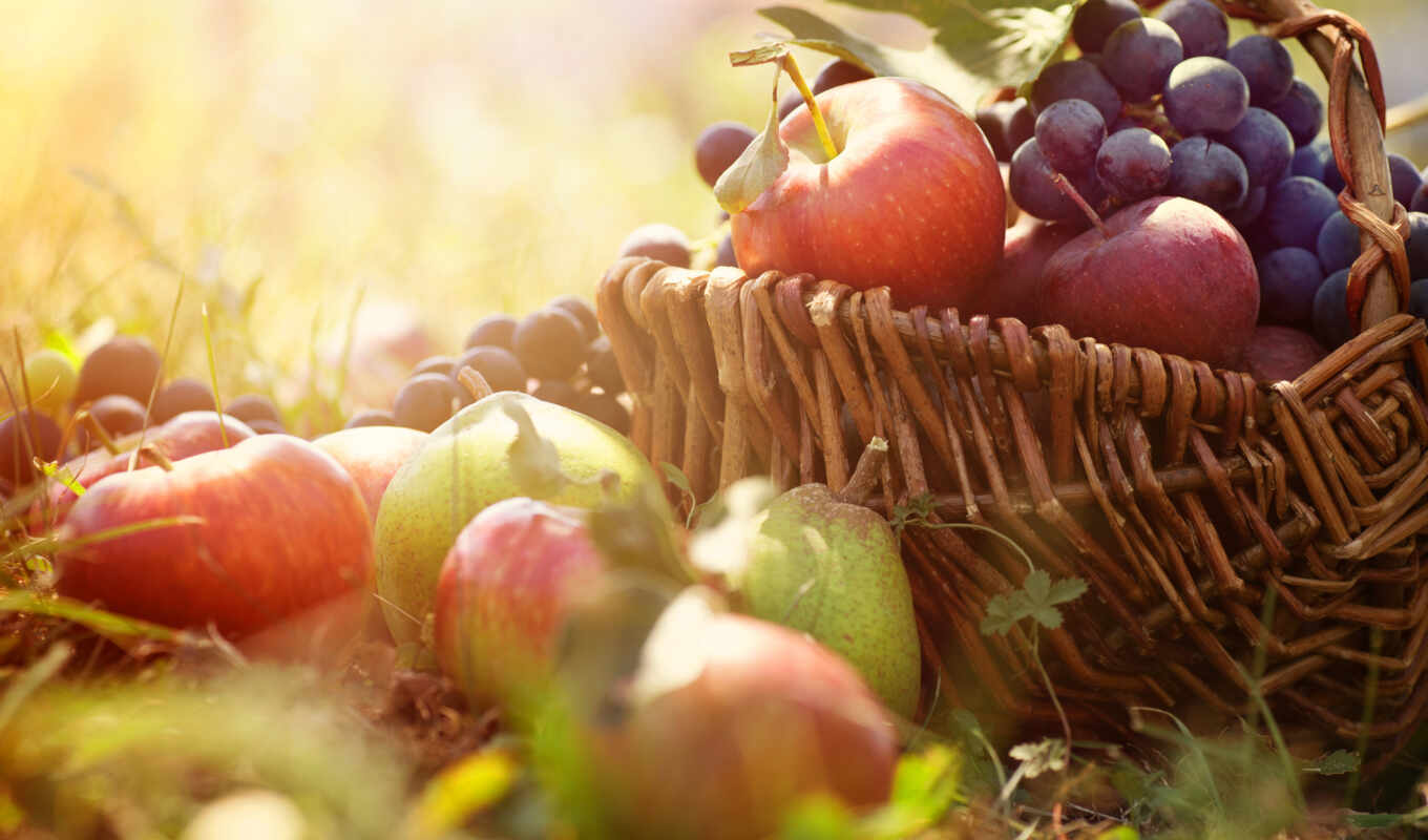свежие, корзина, spas, производить, фрукты, продукты, фотообои, стоковое, яблочный