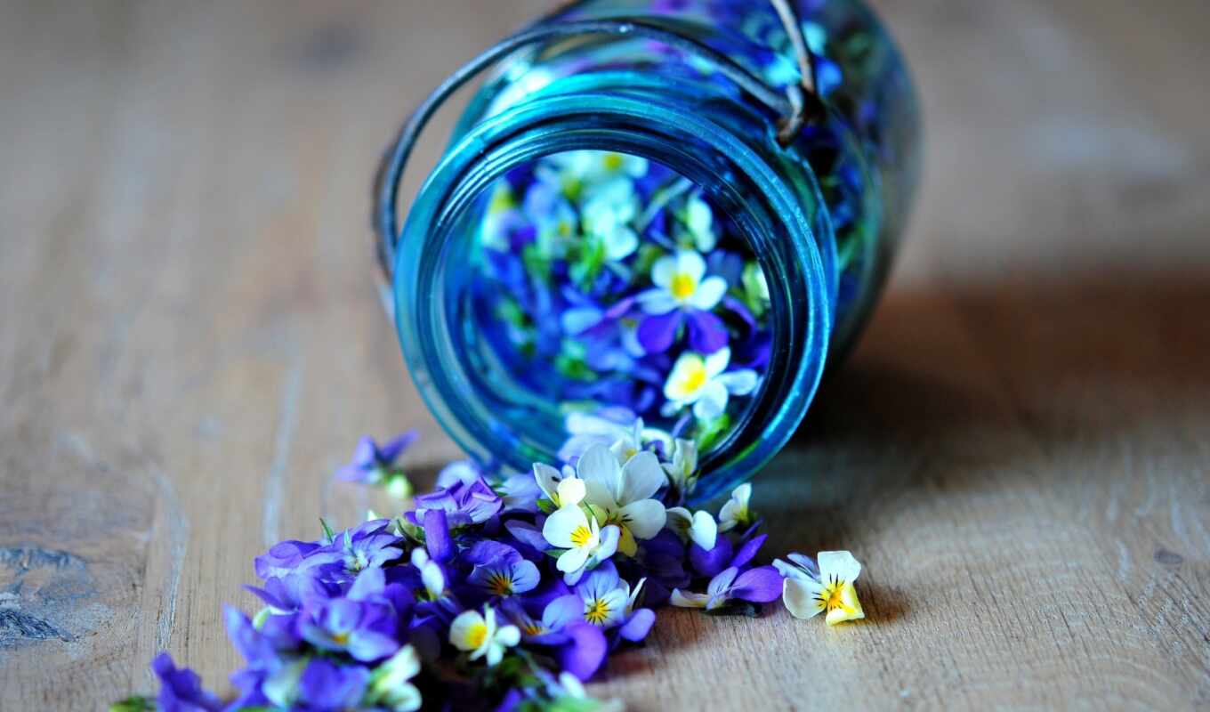 flowers, blue