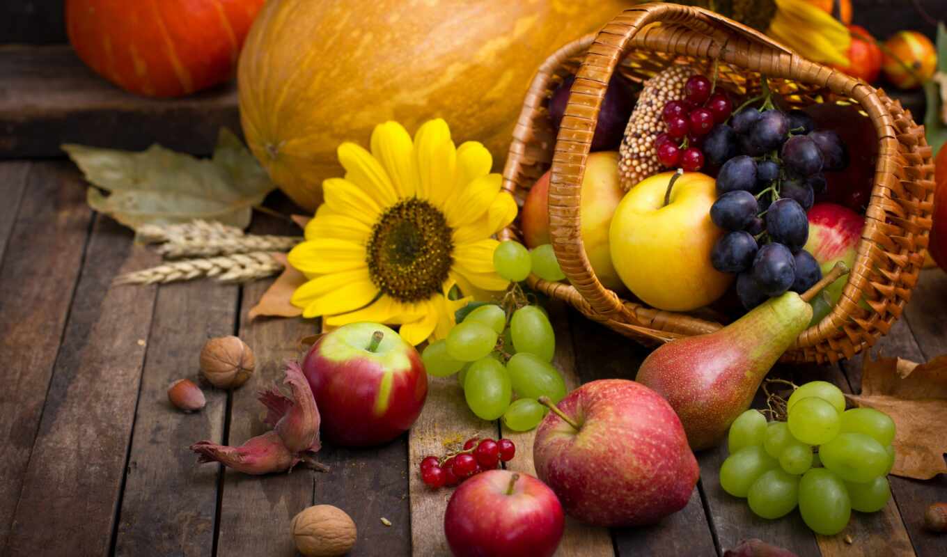 art, еда, стена, apple, home, осень, плод, виноград, тыква, урожай, груша