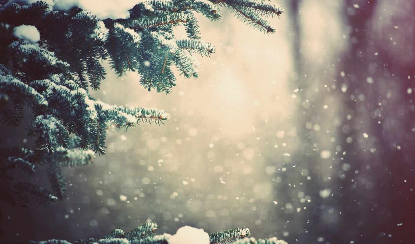 природа, winter, лес