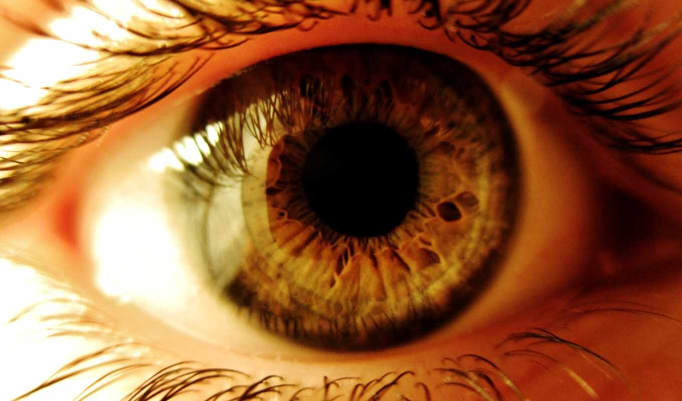 глаз, movie, retina, эмбер, najlepsze, oftalmologion, choroby, itsanita